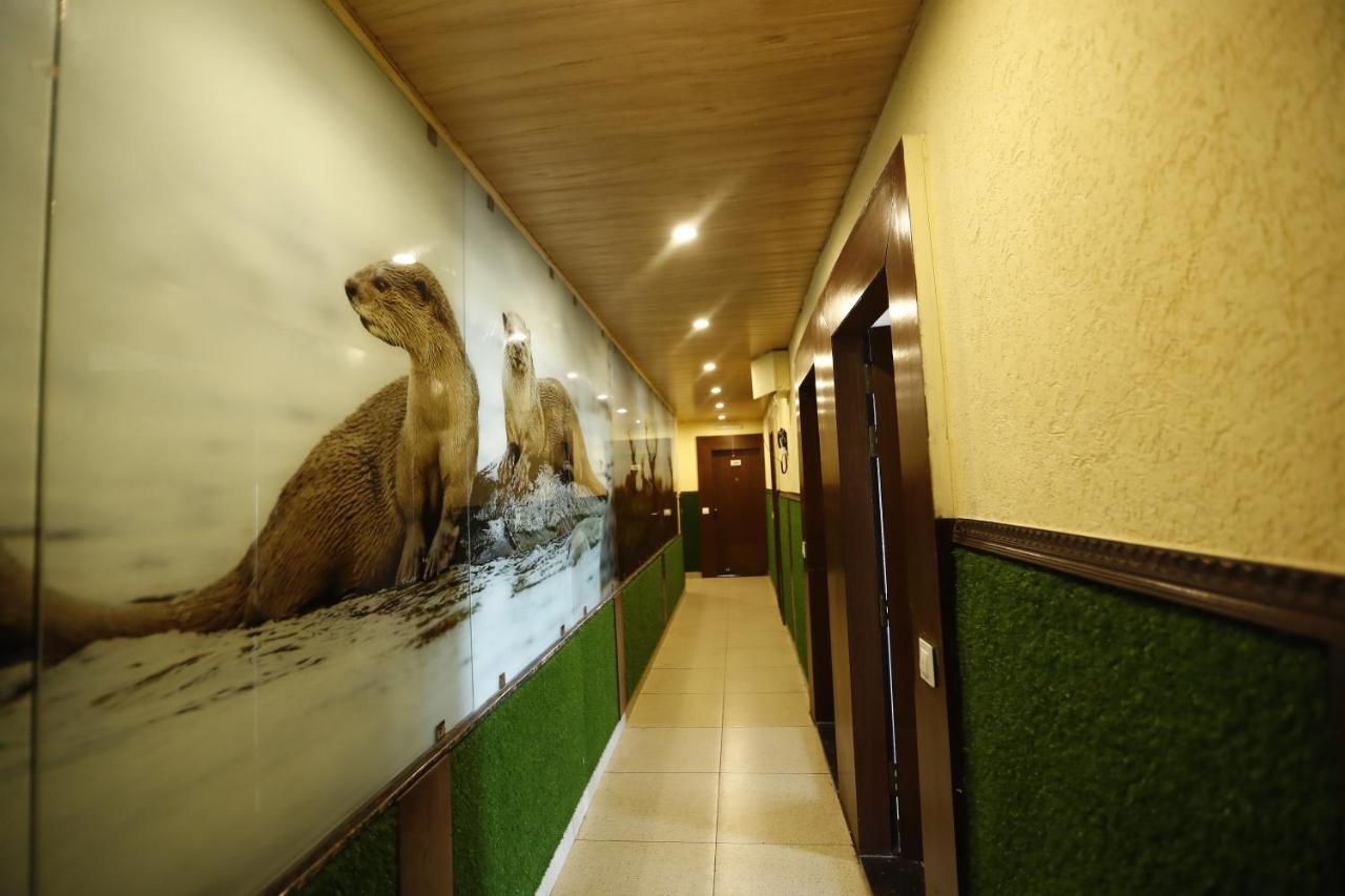 Hotel Kings Inn ムスーリー エクステリア 写真