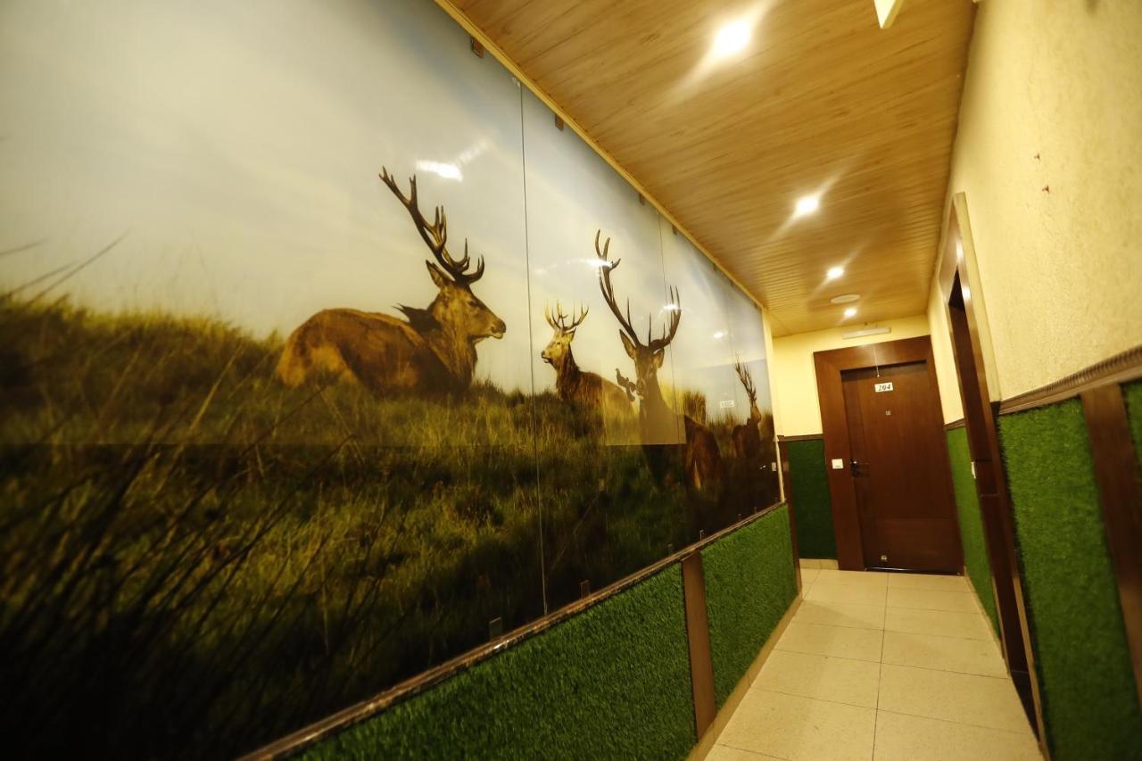 Hotel Kings Inn ムスーリー エクステリア 写真